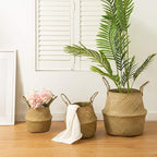 Seagrass Belly Basket, Set of 2 Woven Plant Pot Holder Handmade Home Decor for Storage Plants Picnic Grocery Large(12.6 x 11.02 inch)