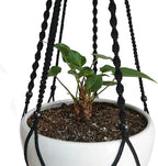 Plant Hanger Macrame Cotton 6 Legs 51 Inches in Tan and Green Color for Indoor Outdoor, Living Room, Kitchen, Deck, Patio, High and Low Ceiling with Size of 10-12 inches Without The Pot (Black)