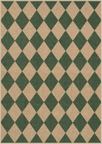 Lahome Colette Checkered Outdoor Rug 5x7, Washable Rug for Living Room Office Indoor Outdoor Carpet, Farmhouse Non Slip Non Shedding Green Carpet for Dining Room Sunroom Patio Courtyard