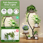 Plant Stand Indoor with Grow Lights - 2 Pack Plant Shelf, Lighted Corner Plant Stands for Indoor Growing, 4 Tiered Metal Flower Holder, S-Shaped Decorative Shelves for Home, Hallway, Black