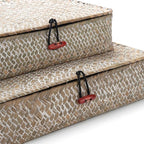 Seagrass Storage Baskets with Lid, Flat Wicker Basket, Shallow Woven Basket for Shelf, Decorative Storage Boxes for Organizing, Whitewash