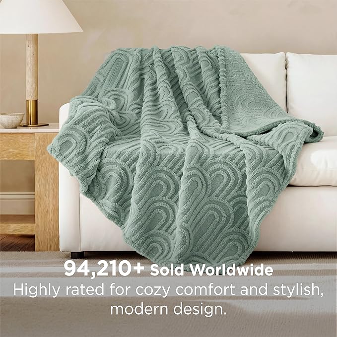 Bedsure GentleSoft Twin Blanket for Bed - Cozy Soft Blankets for Women, Cute Small Fleece Throws for Girls, Graduation Decorations Gift for Her Him School Dorm, Sage Green, 60x80 Inches