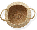 Casafield Seagrass Belly Storage Basket Planter with Handles - Small, Natural Woven Wicker Indoor Plant Pot Cover for Plants and Trees