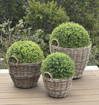 Rattan Kobo Indoor Outdoor Planter Basket with Ear Handles Plastic Pot Small 4 Gallon Soil Capacity
