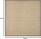 SAFAVIEH Area Rug 10' Square - Natural Fiber Collection - Large - Natural & Grey, Seagrass, Basketweave Pattern with Border (NF114P)