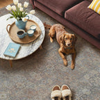 GENIMO 8x10 Area Rugs for Living Room, Machine Washable Non Slip Vintage Rugs, Low Pile Lightweight Chenille Print Rug for Bedroom, Dining Room, Home Office, Grayish Blue