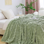Aganear Flannel Throw Blanket - Cozy Soft Lightweight Fuzzy Blanket for Women Portable Throw Blankets for Couch, Warm Present for Birthday, Christmas, Halloween, Housewarming(50"x60", Sage Green)