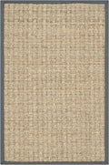 SAFAVIEH Area Rug 2x3 - Natural Fiber Collection - Natural & Dark Grey, Seagrass, Basketweave Pattern with Border (NF114Q)