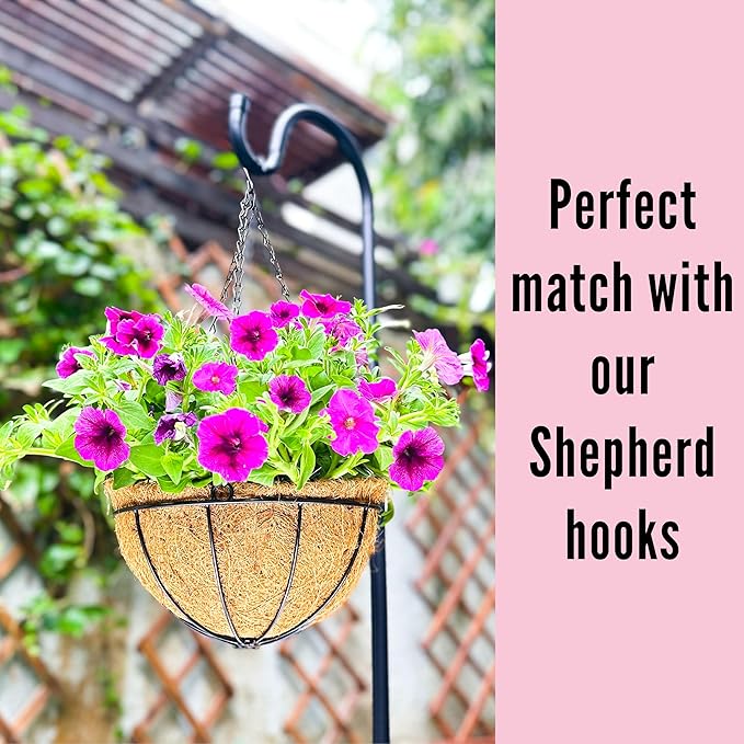 LaLaGreen Hanging Baskets for Plants (3 Pack, 10 Inch) Hanging Planter Outdoor with Coco Liner, Metal Wire Flower Basket Pots Holder Hanger Hook Deck Patio Porch Garden Balcony Outside Decoration