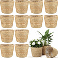 12 Pcs Seagrass Plant Basket with Plastic Liners Woven Stylish Planter Baskets Bulk Indoor Outdoor Plants Woven Wicker Baskets for Flower Pots Cover and Room Decor Small (Small,Rustic)