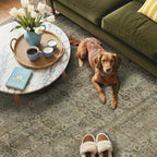 GENIMO 8x10 Area Rugs for Living Room, Machine Washable Non Slip Vintage Rugs, Low Pile Lightweight Chenille Print Rug for Bedroom, Dining Room, Home Office, Green Khaki