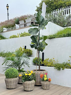 Rattan Kobo Indoor Outdoor Planter Basket with Plastic Pot X Large 12 Gallon Soil Capacity