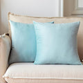 NiNi ALL Decorative Throw Pillow Covers Pack of 2, Velvet Throw Pillow Cases for Couch Pillows Cover Bedroom Living Room Outdoor Pillow Covers 20x20 Inch Baby Blue