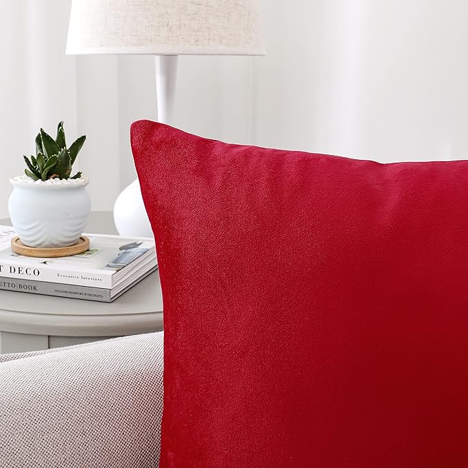 NiNi ALL Decorative Throw Pillow Covers Velvet 22x22 Inch Pack of 2 Red Cushion Covers Soft for Couch Sofa Bedroom Living Room Outdoor