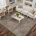 HUGEAR Area Rug 5x7 Retro Brown Machine Washable Living Room Rugs Distressed Vintage Floral Vacuumable Low Pile Carpet Bedroom Office Dining Room Laundry Room Non Slip Soft Lightweight