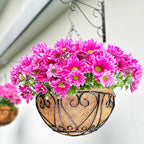 LaLaGreen Hanging Baskets for Plants (12 Inch, 2 Pack) Hanging Flower Pots with Coco Liner, Black Metal Wire Round Basket Plant Holder with Hanger Hook Chain, Outdoor Patio Deck Balcony Garden Decor