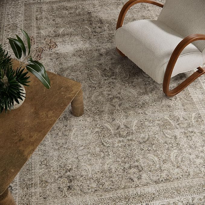 Washable Area Rugs for Living Room: 5x7 Bedroom Rug Boho Vintage Area Rug Stain Resistant Non Slip Low Pile Lightweight Soft Carpets for Dining Room Kitchen Nursery Kids Room Farmhouse