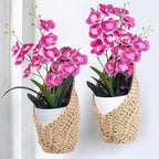 2 Pack 4 inch Macrame Wall Plant Hanger, Hanging Orchid Basket | Wall Plant Holder, Wall Planters for Indoor Plants (2 Pack, up to 4 inch Pot)