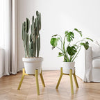 Adjustable Plant Stands Set of 2, Metal Small Plant Holder, Heavy Duty Stable Flower Holder Stand Rack for Various Pot Sizes Indoor Outdoor Corner Living Room Balcony Office Golden PS-007GY-2