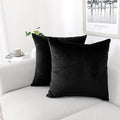 NiNi ALL Decorative Throw Pillow Covers Pack of 2 Velvet Throw Pillow Cases for Couch Pillows Cover Bedroom Living Room Outdoor, Pillow Covers 20x20 Inch Black