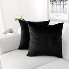 NiNi ALL Decorative Throw Pillow Covers Pack of 2 Velvet Throw Pillow Cases for Couch Pillows Cover Bedroom Living Room Outdoor, Pillow Covers 20x20 Inch Black