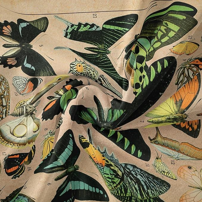 Adolphe Philippe Millot Print Poster Vintage Butterfly Tapestry 48”x36” Long Vertical Wall Hanging Reference Illustrative Wall Tapestries for Bedroom Aesthetic Tapestry Wall Hanging Bedroom Room Decor