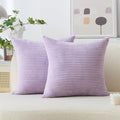 Home Brilliant Light Purple Pillow Covers Supersoft Velvet Corduroy Striped Throw Pillow Covers Couch 2 Pieces Accent Pillow Cases for Bedroom, 55cm, 22 x 22 Inch, Lavender