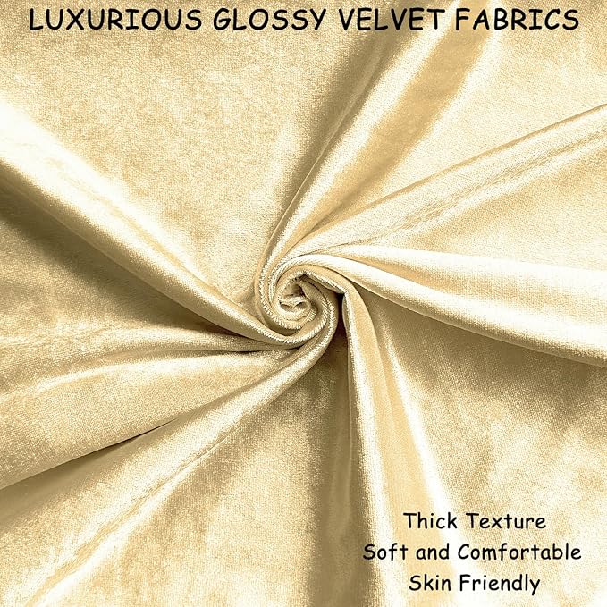 2 Pack 16x16 Pillow Cover Velvet Pillow Covers, Square Throw Pillow Covers for Living Room Decorations Throw Pillow Case, Throw Pillow Cover Cushion Cover for Home Sofa Bedroom Car, Champagne