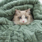 EverGrace Classic Cable Jacquard Sherpa Fleece Throw Blanket for Couch, Soft Cozy Fuzzy Plush Blankets for All Seasons, Reversible Thick Warm Blanket for Bed, Sofa, Living Room, Sage Green, 50" x 60"