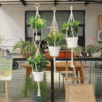 3 in 1 Macrame Kit for Beginners, 3mm x 220yards Cotton Macrame Cord, 3 DIY Macrame Plant Hanger Kits for Adults with Instructions Macrame Supplies Best for Macrame Plant Hanger Kit