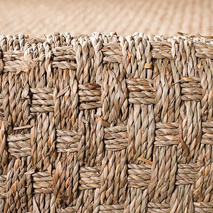 SAFAVIEH Area Rug 2x3 - Natural Fiber Collection - Natural & Dark Brown, Seagrass, Basketweave Pattern with Border (NF114K)