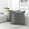 NiNi ALL Decorative Throw Pillow Covers Velvet 26x26 Inch Pack of 2 Grey Cushion Covers Soft for Couch Sofa Bedroom Living Room Outdoor