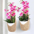 2 Pack 6 inch Macrame Wall Plant Hanger, Hanging Orchid Basket | Wall Plant Holder, Wall Planters for Indoor Plants (2 Pack, for up to 6 inch Pot)