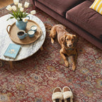 GENIMO 9x12 Area Rugs for Living Room, Machine Washable Non Slip Vintage Rugs, Low Pile Lightweight Chenille Print Rug for Bedroom, Dining Room, Home Office, Mocha Brick