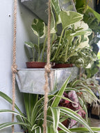 LaLaGreen Wall Hanging Planter - 16 Inch Indoor Wall Planters, 3 Tier Succulent Planters, Metal Silver Window Herb Garden Rectangle Hanging Vertical Plant Pot