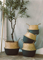 LiloCraft Seagrass Plant Basket (Size: 9x8 inches, Pattem:Black Bottom) Home Decor Storage Solution with Eco-Friendly, Woven Basket Planter Indoor with Handles, Round Boho Plant Pot