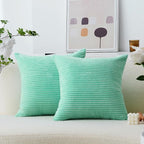 Home Brilliant Throw Pillows for Couch 18x18 Spring Pillow Covers Set of 2 Soft Textured Velvet Accent Pillowcases for Girl Dorm Sofa Decor, 45 cm x 45 cm, 18 x 18 Inch, Aqua Blue