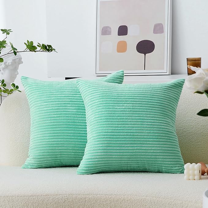 Home Brilliant Throw Pillows for Couch 18x18 Spring Pillow Covers Set of 2 Soft Textured Velvet Accent Pillowcases for Girl Dorm Sofa Decor, 45 cm x 45 cm, 18 x 18 Inch, Aqua Blue