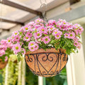 LaLaGreen Hanging Baskets for Plants (12 Inch, 6 Pack) Hanging Flower Pots with Coco Liner, Black Metal Wire Round Basket Plant Holder with Hanger Hook Chain, Outdoor Patio Deck Balcony Garden Decor