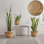 Casafield Set of 3 Seagrass Planter Baskets with Liners - Two-Tone, Hand Woven Indoor Flower Pot Covers for Plants, Succulents, Home Decor