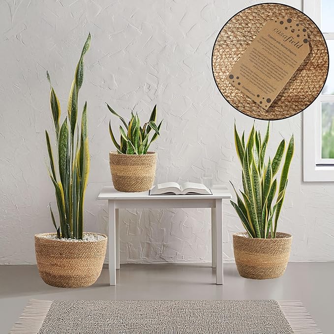 Casafield Set of 3 Seagrass Planter Baskets with Liners - Two-Tone, Hand Woven Indoor Flower Pot Covers for Plants, Succulents, Home Decor