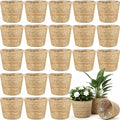 24 Pcs Seagrass Plant Basket with Plastic Liners Woven Stylish Planter Baskets Bulk Indoor Outdoor Plants Woven Wicker Baskets for Flower Pots Cover and Room Decor Small (Small,Rustic)