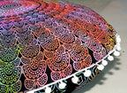 Round Mandala Floor Pillow Cover Seating Cushion Throw Cover Hippie Decorative Bohemian Ottoman Pouf Cover, Pom Pom Pillow Cases,Boho Indian 22 Inches (Multi Peacock)
