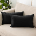 NiNi ALL Decorative Throw Pillow Covers Velvet 20x30 Inch Pack of 2 Black Cushion Covers Soft for Couch Sofa Bedroom Living Room Outdoor
