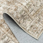 Brown Area Rug 4x6 Vintage Office Washable Distressed Kitchen Carpet Non Slip Soft Indoor Traditional Medallion Retro Accent Throw Rug for Entryway Bedroom Dining Living Room