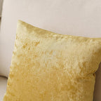 NiNi ALL Decorative Throw Pillow Covers Pack of 2, Velvet Throw Pillow Cases for Couch Pillows Cover Bedroom Living Room Outdoor Pillow Covers 16x16 Inch Gold