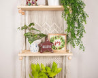 SnugLife Macrame Wall Hanging Shelf - 3 Tier Wall Plant Hanger Shelves with Handmade Woven Rope - Boho Shelves Organizer for Kitchen, Bathroom, Home Storage, Floating Plant Shelf (Pine Wood)