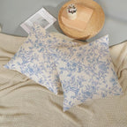 Baby Blue Pillow Covers 20x20 Set of 2 Blue and Cream Floral Chinoiserie Throw Pillows Vintage Rustic Toile Flower Decorative Pillowcase Outdoor Chinoiserie Decor Cushion Case for Couch Sofa