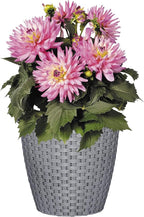 Classic Home and Garden Nantucket Planter, 8" Harbor Gray