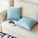 NiNi ALL Decorative Throw Pillow Covers Pack of 2, Velvet Throw Pillow Cases for Couch Pillows Cover Bedroom Living Room Outdoor Pillow Covers 22x22 Inch Baby Blue
